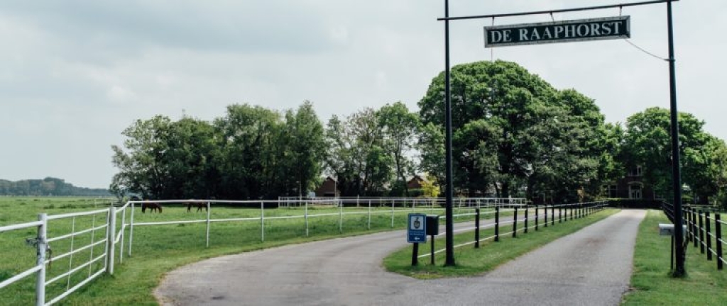 Oprit Paardenkliniek De Raaphorst