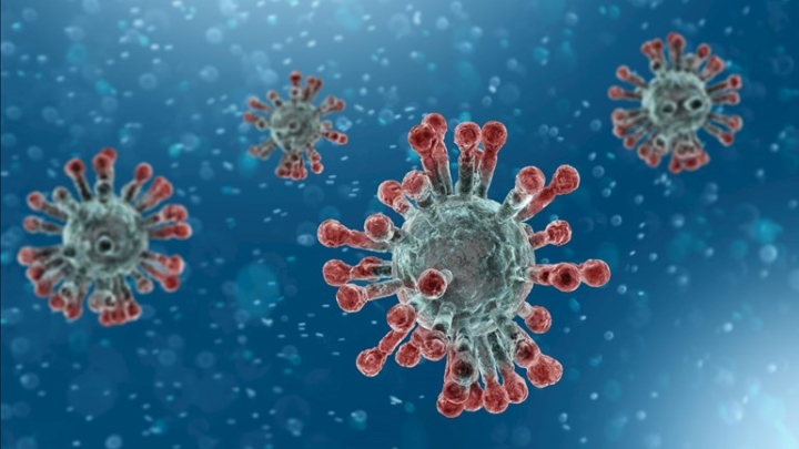 Coronavirus (COVID-19)